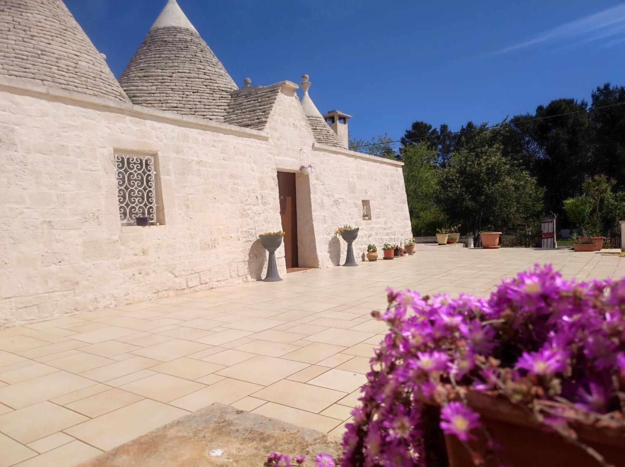 马丁纳弗兰卡Trulli Delle Rose别墅 客房 照片